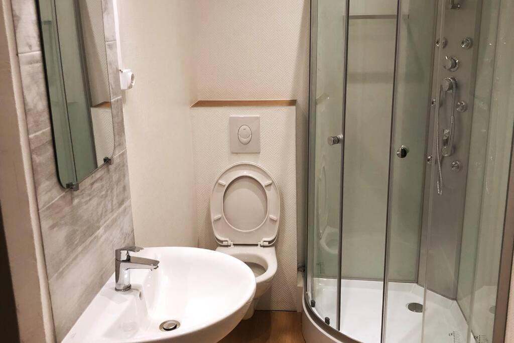 Grand 4p Orangerie 7 Personnes Proche D Allemagne Apartment Straßburg