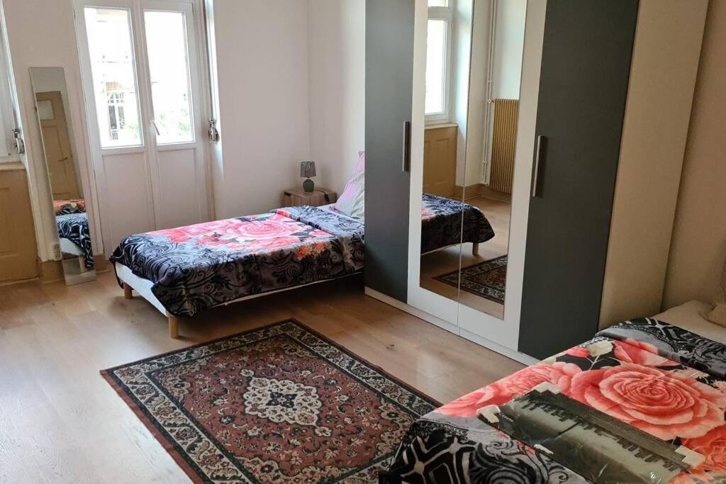 Grand 4p Orangerie 7 Personnes Proche D Allemagne Apartment *